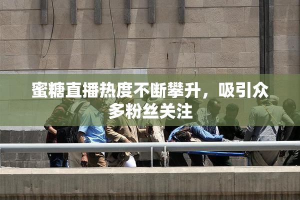蜜糖直播热度不断攀升，吸引众多粉丝关注
