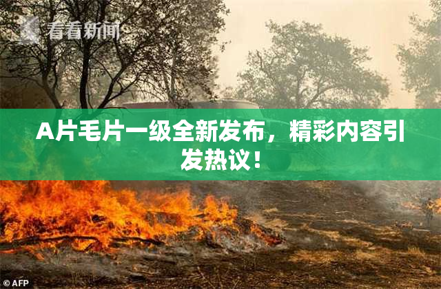 A片毛片一级全新发布，精彩内容引发热议！