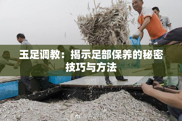 玉足调教：揭示足部保养的秘密技巧与方法