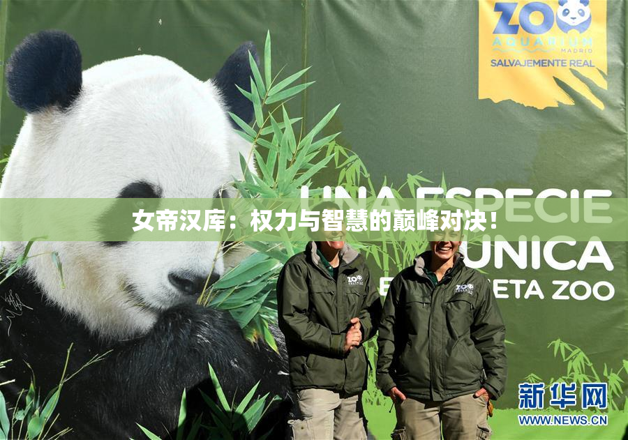 女帝汉库：权力与智慧的巅峰对决！