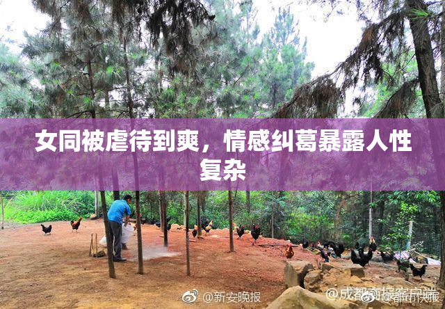 女同被虐待到爽，情感纠葛暴露人性复杂