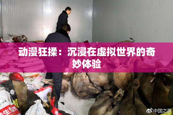动漫狂揉：沉浸在虚拟世界的奇妙体验