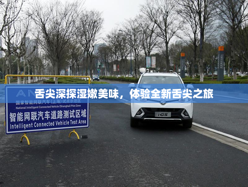 舌尖深探湿嫩美味，体验全新舌尖之旅