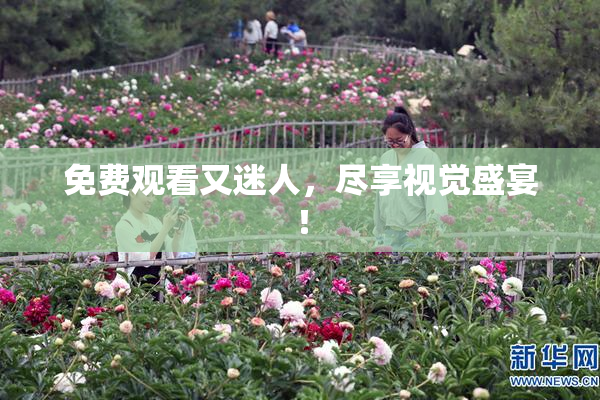 免费观看又迷人，尽享视觉盛宴！