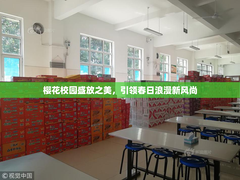 樱花校园盛放之美，引领春日浪漫新风尚