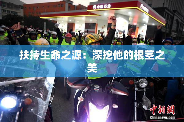 扶持生命之源：深挖他的根茎之美