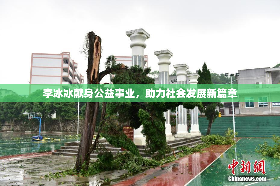 李冰冰献身公益事业，助力社会发展新篇章
