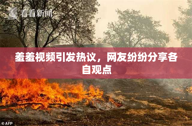 羞羞视频引发热议，网友纷纷分享各自观点