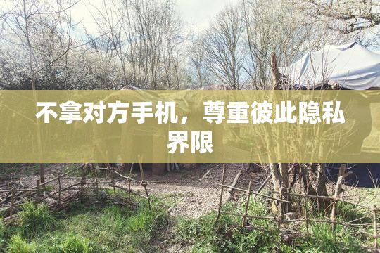 不拿对方手机，尊重彼此隐私界限