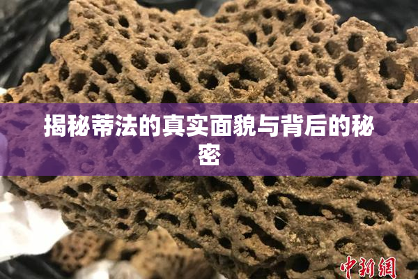 揭秘蒂法的真实面貌与背后的秘密
