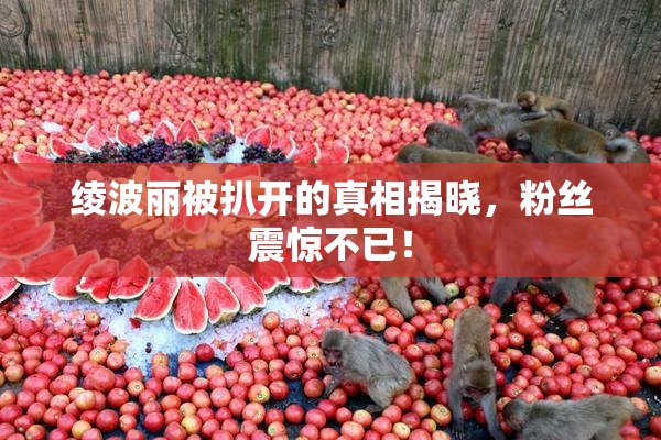 绫波丽被扒开的真相揭晓，粉丝震惊不已！
