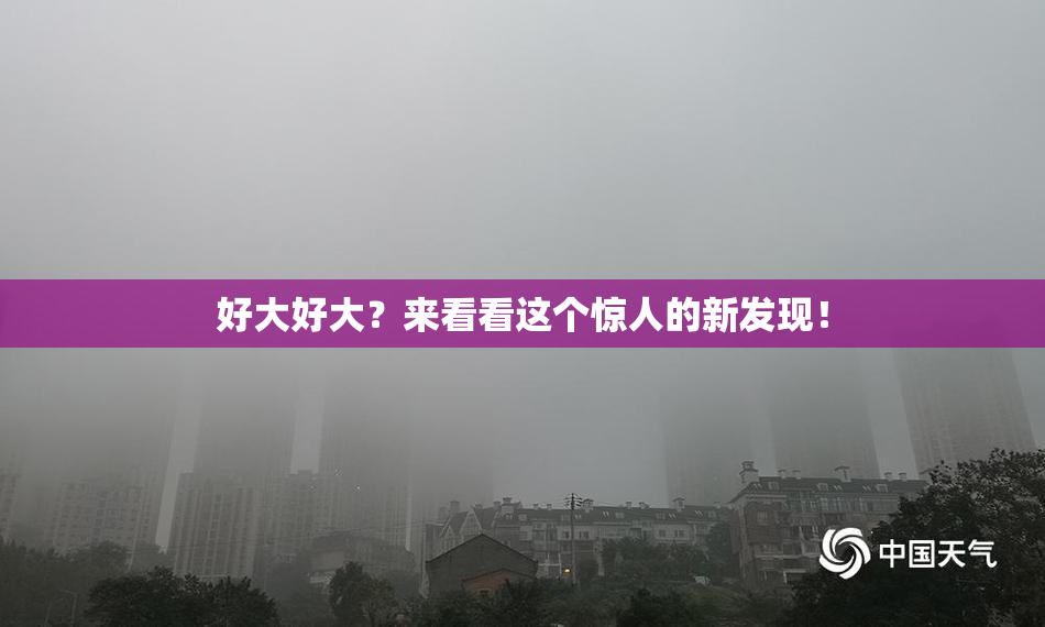 好大好大？来看看这个惊人的新发现！