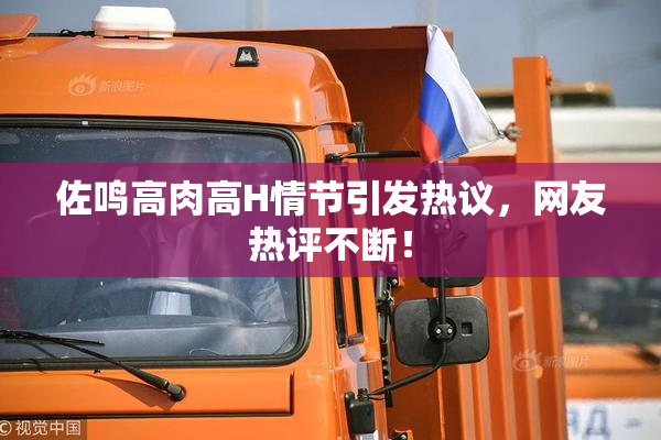 佐鸣高肉高H情节引发热议，网友热评不断！