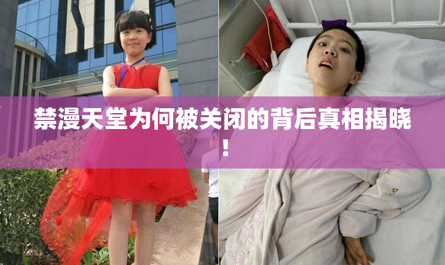 禁漫天堂为何被关闭的背后真相揭晓！