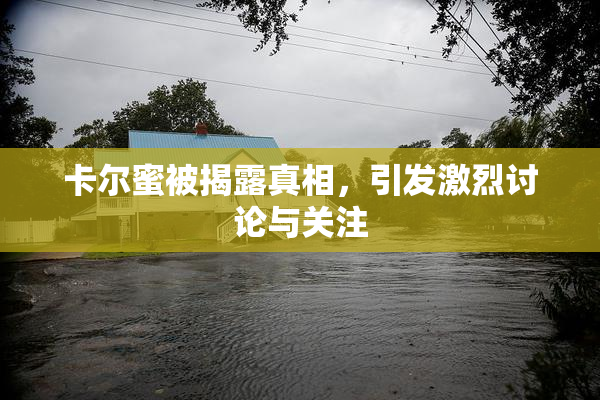 卡尔蜜被揭露真相，引发激烈讨论与关注