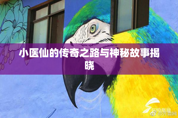小医仙的传奇之路与神秘故事揭晓
