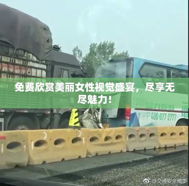 免费欣赏美丽女性视觉盛宴，尽享无尽魅力！