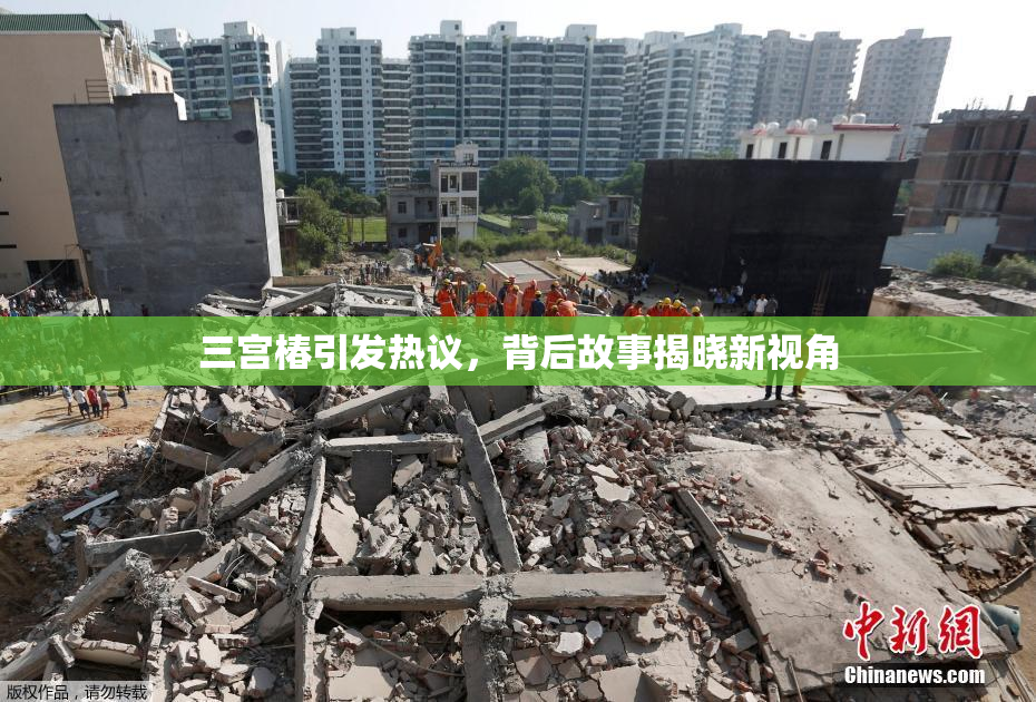三宫椿引发热议，背后故事揭晓新视角