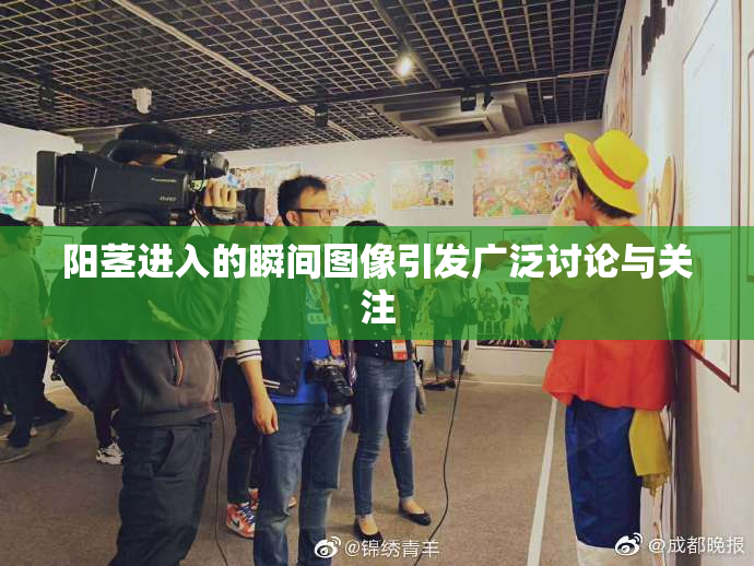 阳茎进入的瞬间图像引发广泛讨论与关注