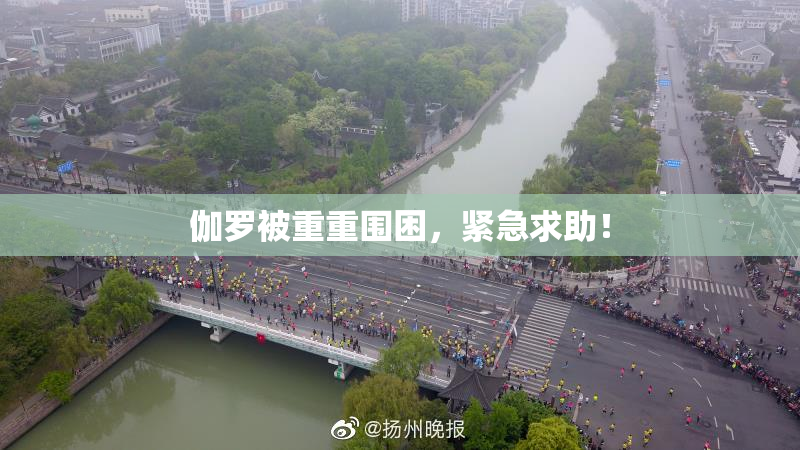 伽罗被重重围困，紧急求助！