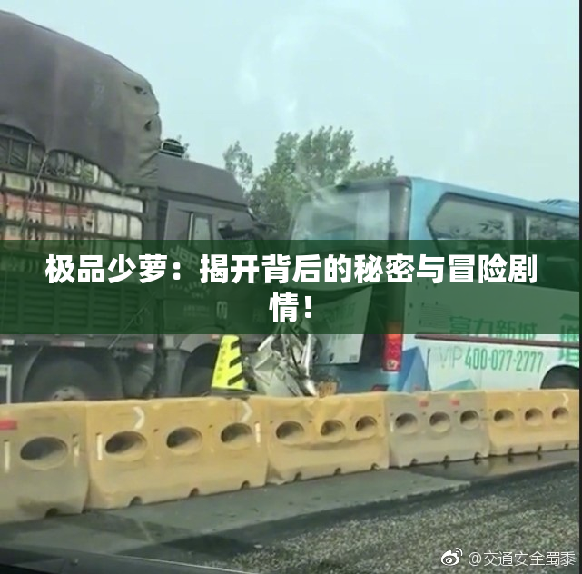 极品少萝：揭开背后的秘密与冒险剧情！