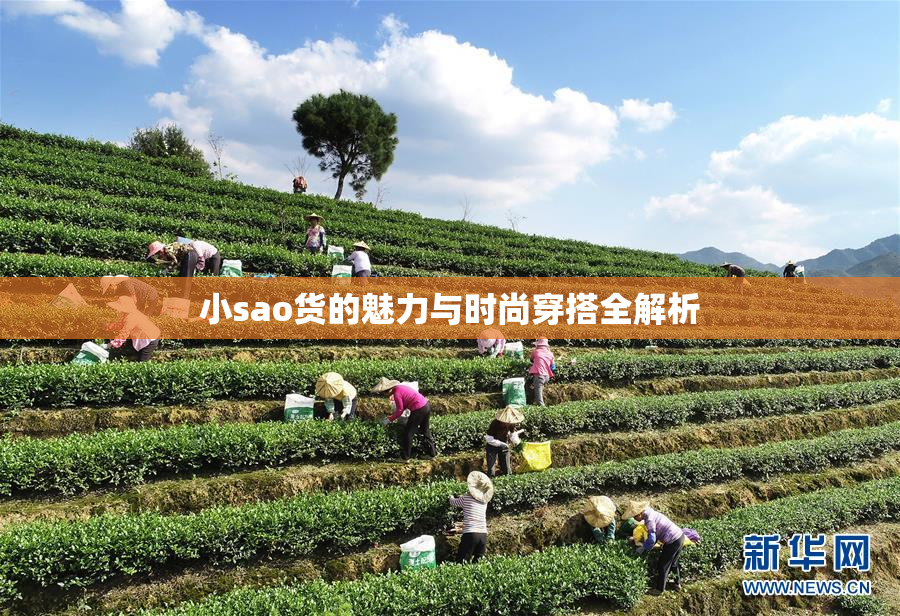 小sao货的魅力与时尚穿搭全解析