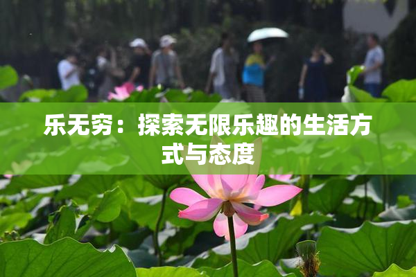 乐无穷：探索无限乐趣的生活方式与态度