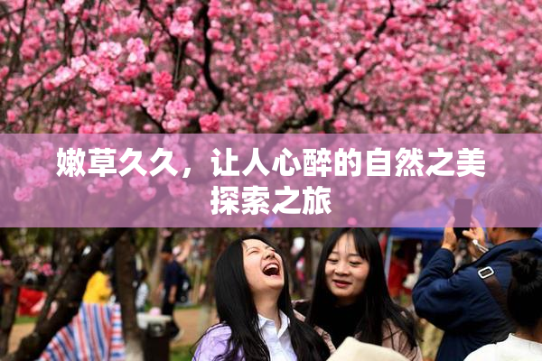 嫩草久久，让人心醉的自然之美探索之旅