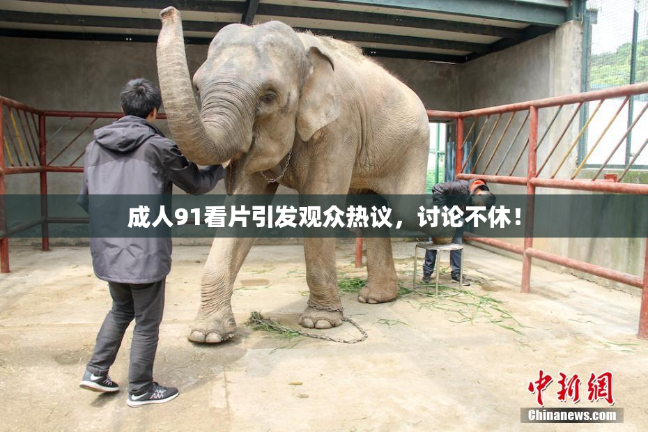 成人91看片引发观众热议，讨论不休！