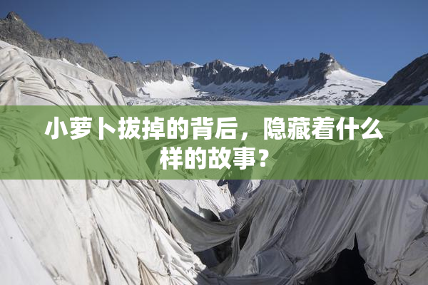 小萝卜拔掉的背后，隐藏着什么样的故事？