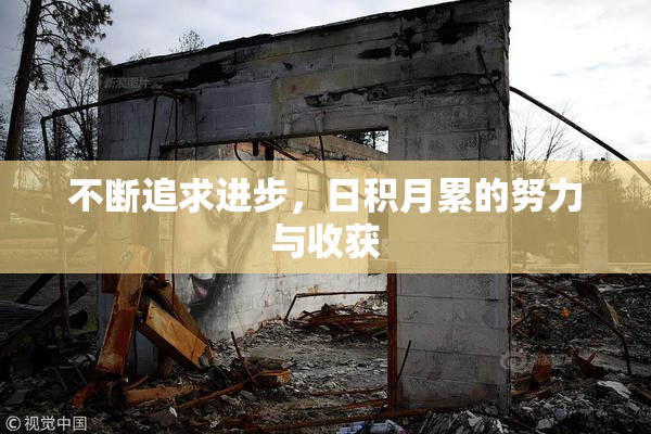 不断追求进步，日积月累的努力与收获