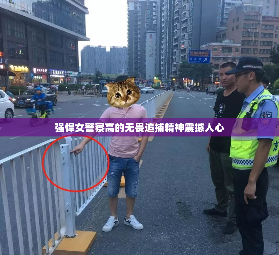 强悍女警察高的无畏追捕精神震撼人心