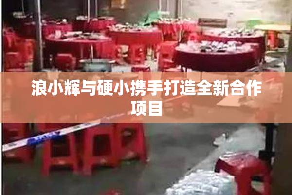 浪小辉与硬小携手打造全新合作项目
