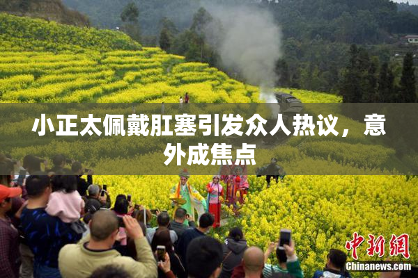 小正太佩戴肛塞引发众人热议，意外成焦点