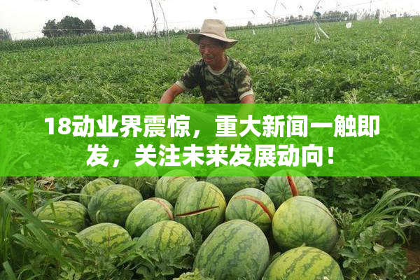 18动业界震惊，重大新闻一触即发，关注未来发展动向！