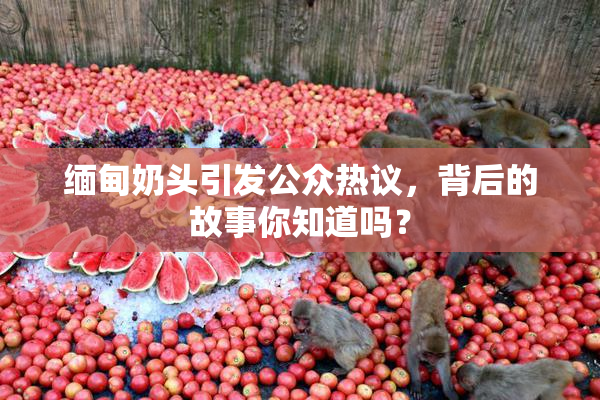缅甸奶头引发公众热议，背后的故事你知道吗？