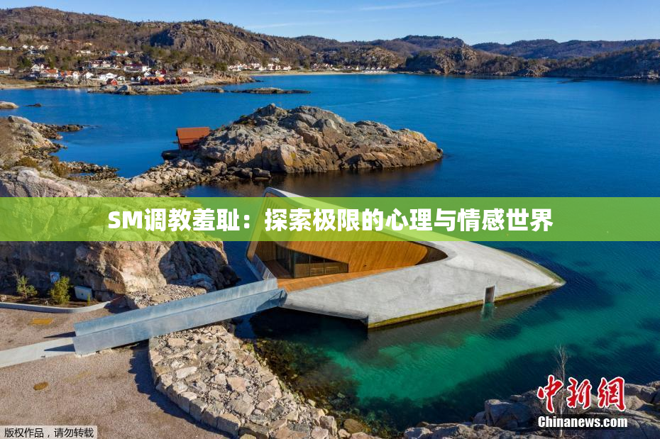 SM调教羞耻：探索极限的心理与情感世界