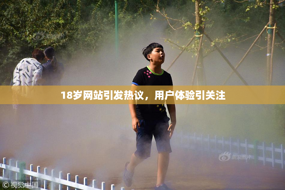 18岁网站引发热议，用户体验引关注