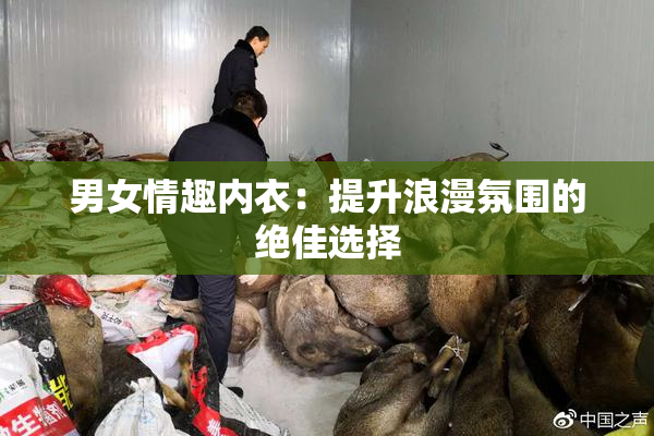 男女情趣内衣：提升浪漫氛围的绝佳选择