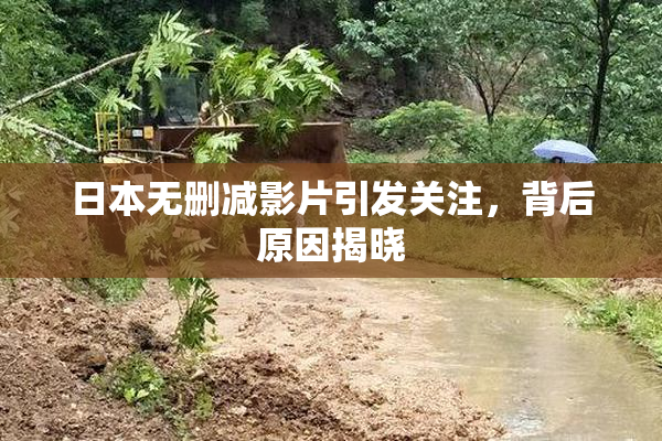 日本无删减影片引发关注，背后原因揭晓
