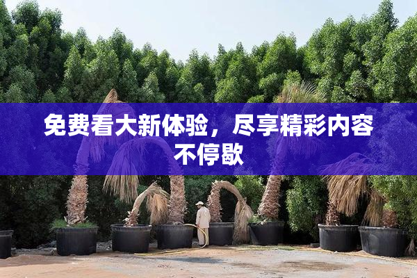 免费看大新体验，尽享精彩内容不停歇