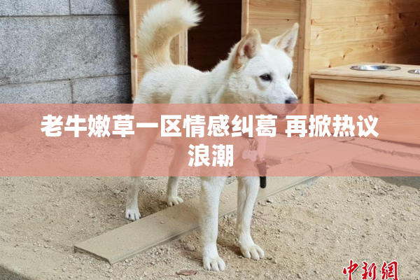 老牛嫩草一区情感纠葛 再掀热议浪潮