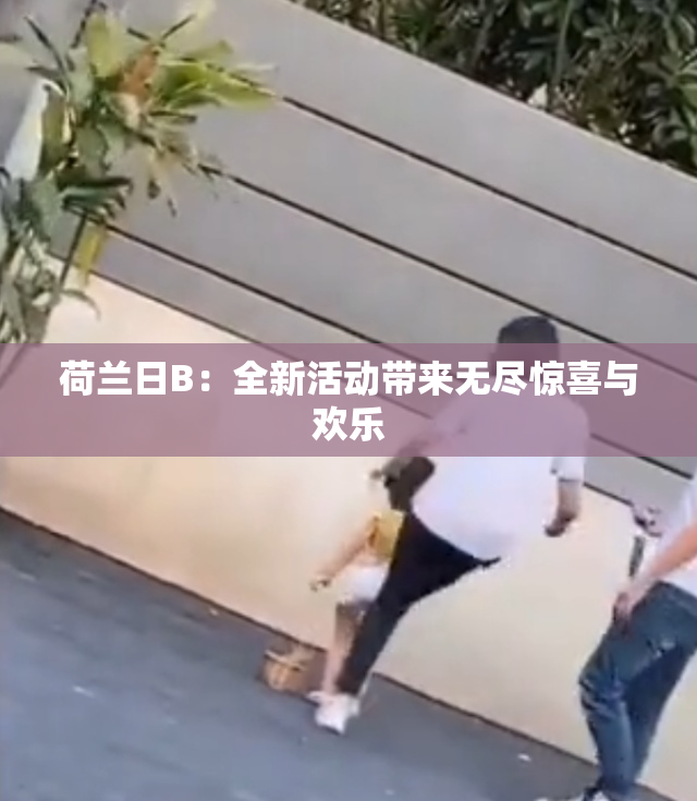 荷兰日B：全新活动带来无尽惊喜与欢乐