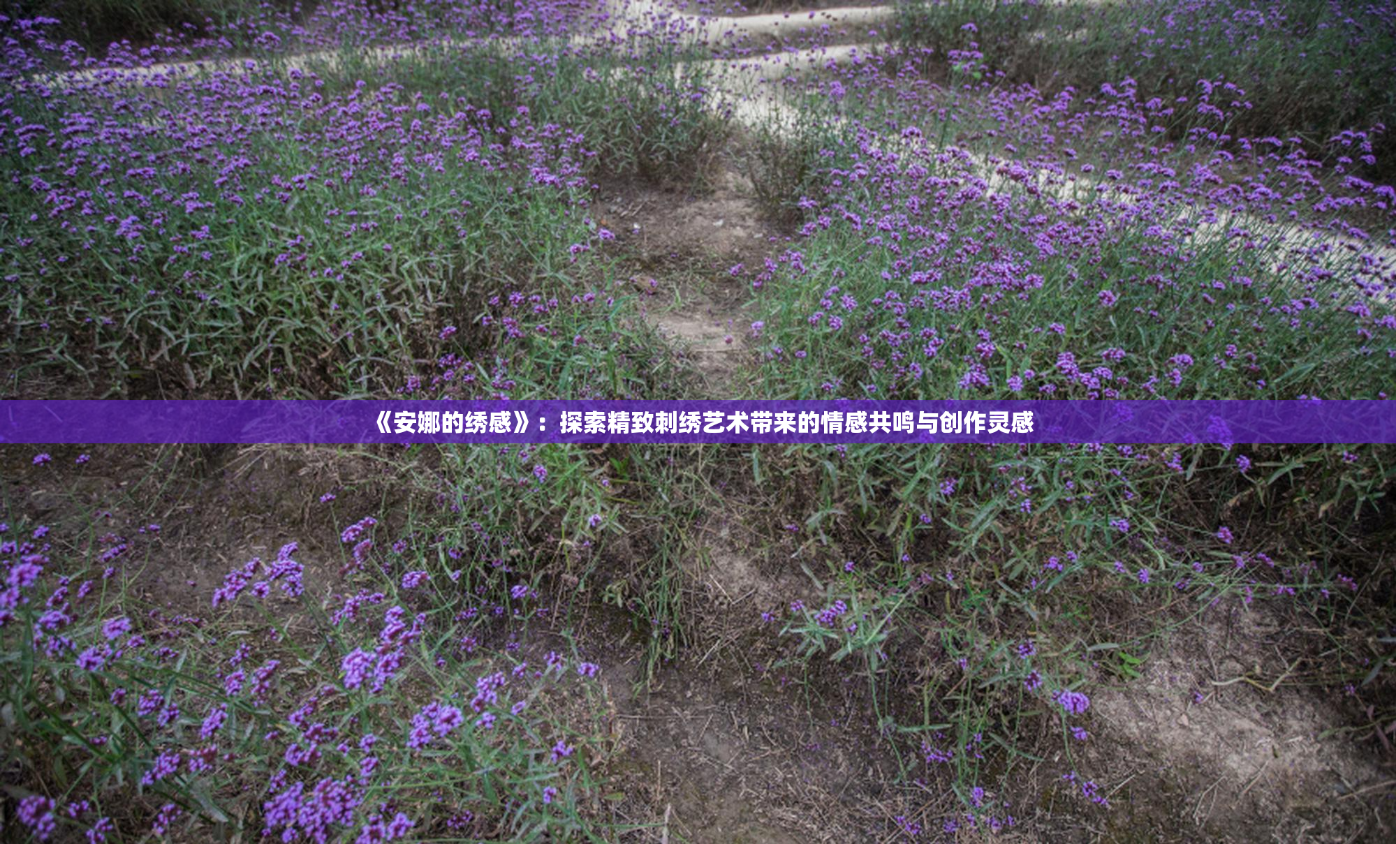 《安娜的绣感》：探索精致刺绣艺术带来的情感共鸣与创作灵感