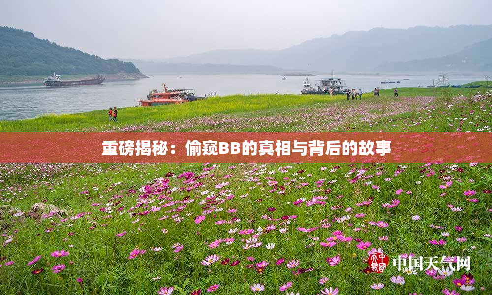 重磅揭秘：偷窥BB的真相与背后的故事