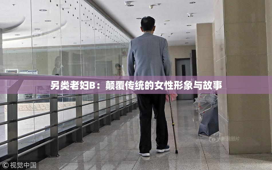另类老妇B：颠覆传统的女性形象与故事