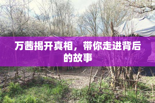 万茜揭开真相，带你走进背后的故事