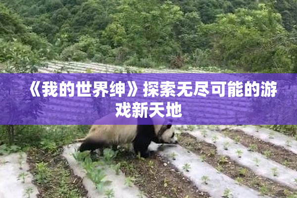 《我的世界绅》探索无尽可能的游戏新天地