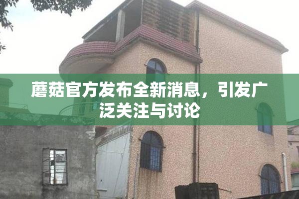蘑菇官方发布全新消息，引发广泛关注与讨论