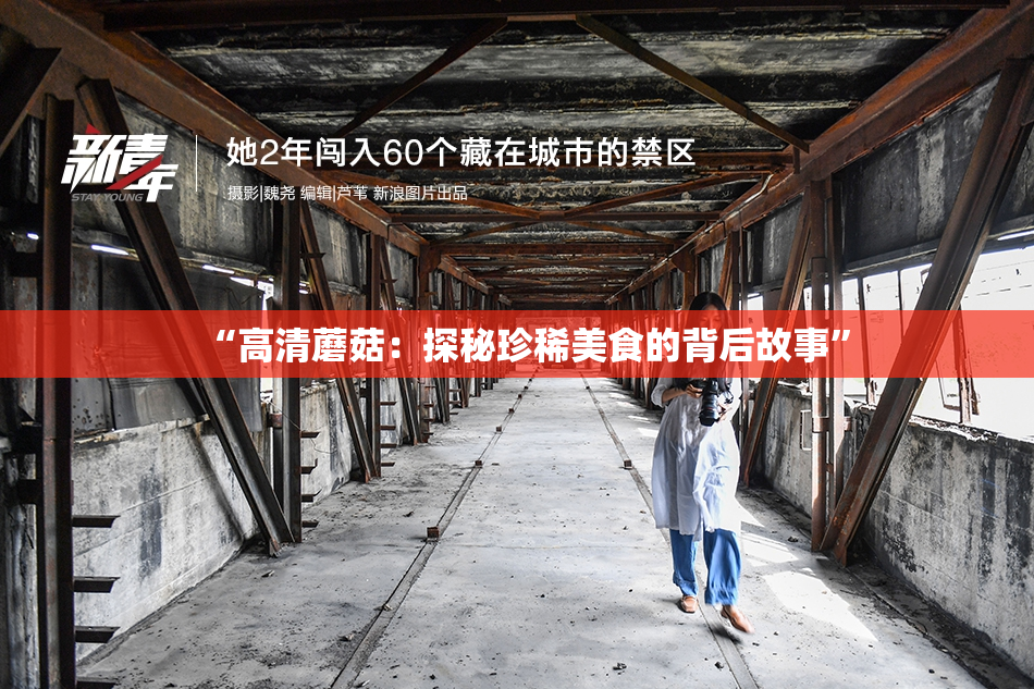 “高清蘑菇：探秘珍稀美食的背后故事”
